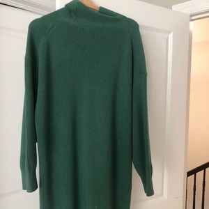 Aritzia, green sweater dress